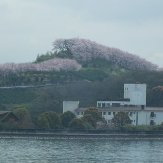 dscf3674.jpg