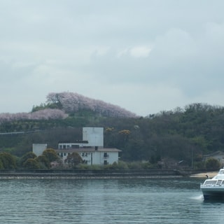 dscf3675.jpg