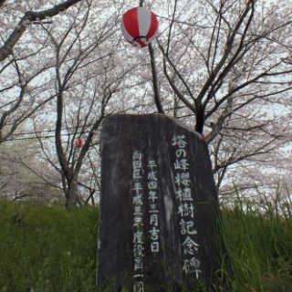 dscf3738.jpg