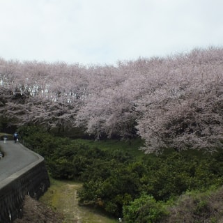 dscf3708.jpg
