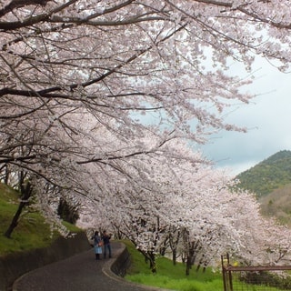 dscf3714.jpg