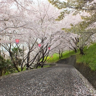 dscf3740.jpg