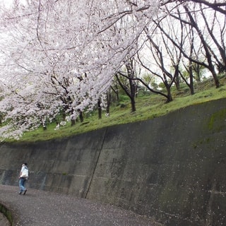 dscf3713.jpg