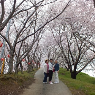 dscf3744.jpg