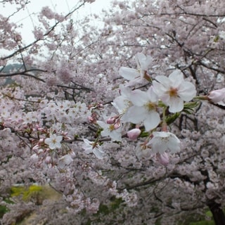 dscf3756.jpg