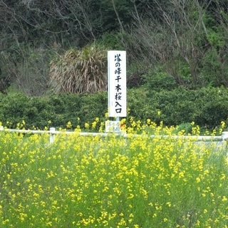 dscf3777.jpg