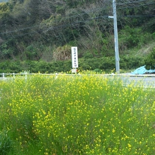 dscf3778.jpg