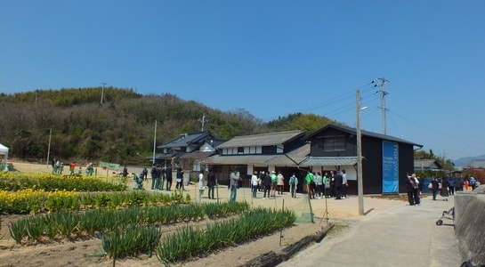 dscf0135.jpg