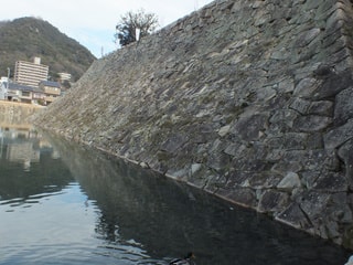 dscf7484.jpg
