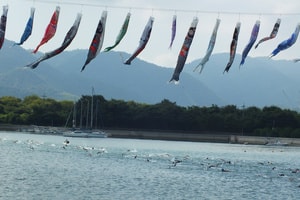 dscf9094.jpg